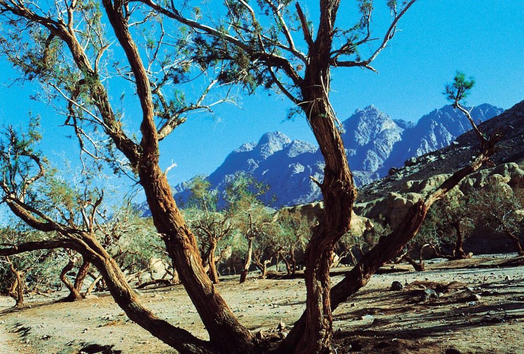 Die Halbinsel Sinai Helios Reisen