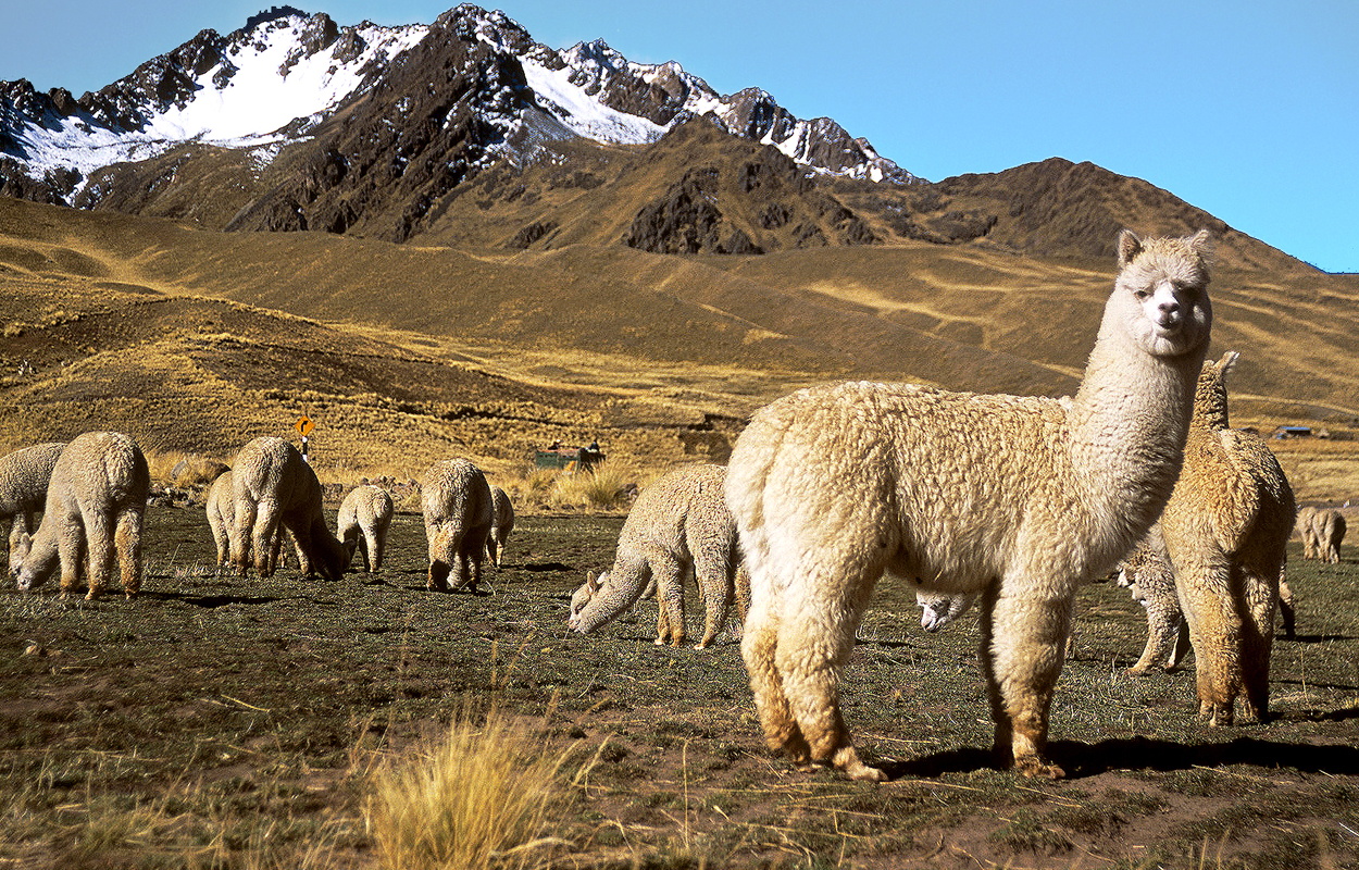 Das ist Peru - Helios Reisen