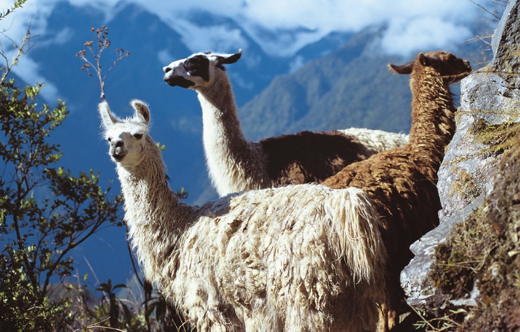 Das ist Peru Helios Reisen